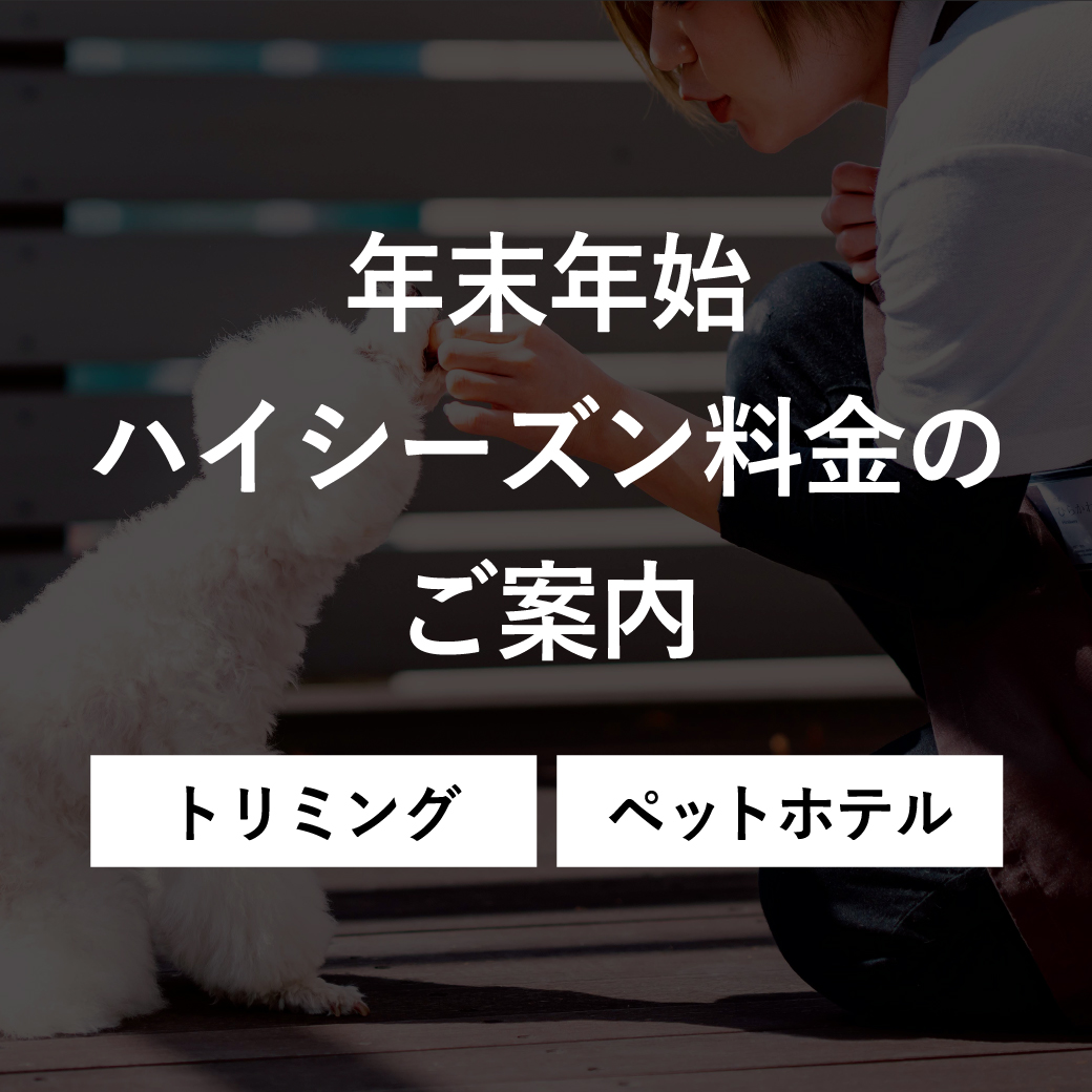 【年末年始】ハイシーズン料金のご案内