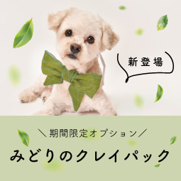 【期間限定オプション】みどりのクレイパック