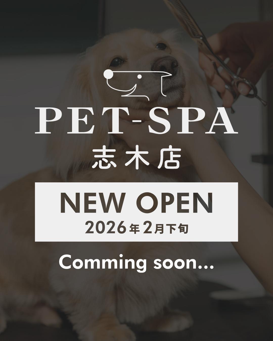 【新店情報】「PET-SPA 志木店」2026年2月下旬 オープン決定！